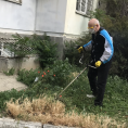 Покос травы